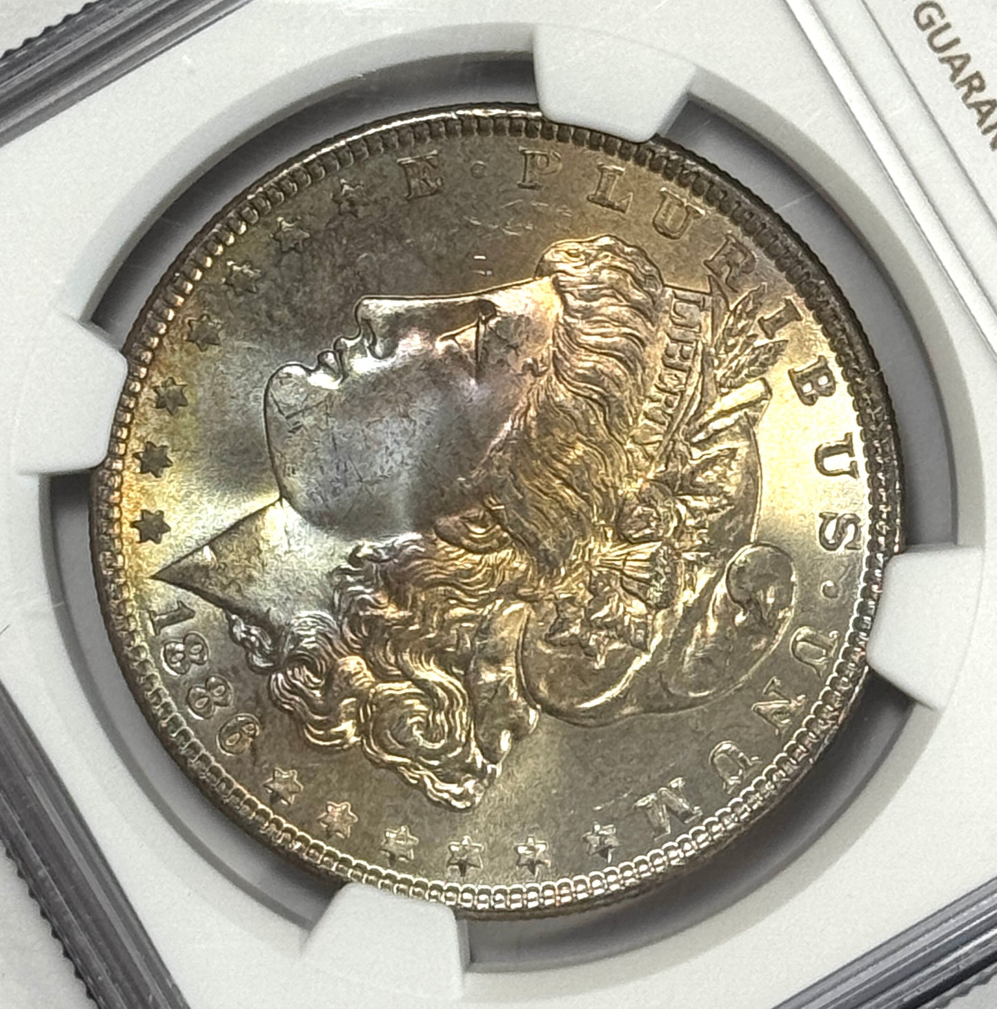 1886-P Morgan Silver Dollar NGC MS66 - Subtle Rainbow Toned - Lustrous Reverse