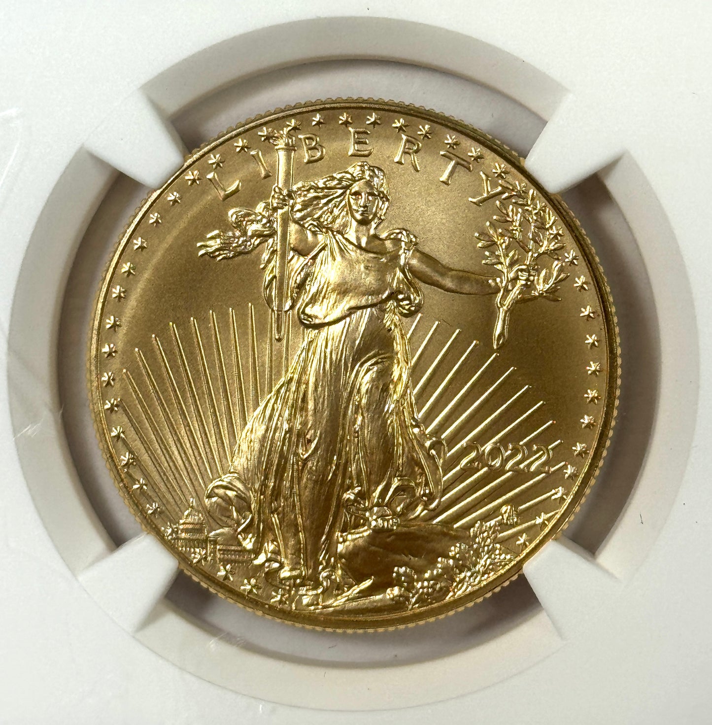 2022 $50 American Gold Eagle 1 oz Gold Coin MS70 FDOI NGC -Mike Castle