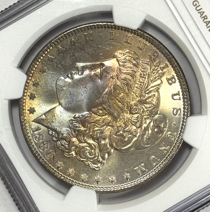 1886-P Morgan Silver Dollar NGC MS66 - Subtle Rainbow Toned - Lustrous Reverse