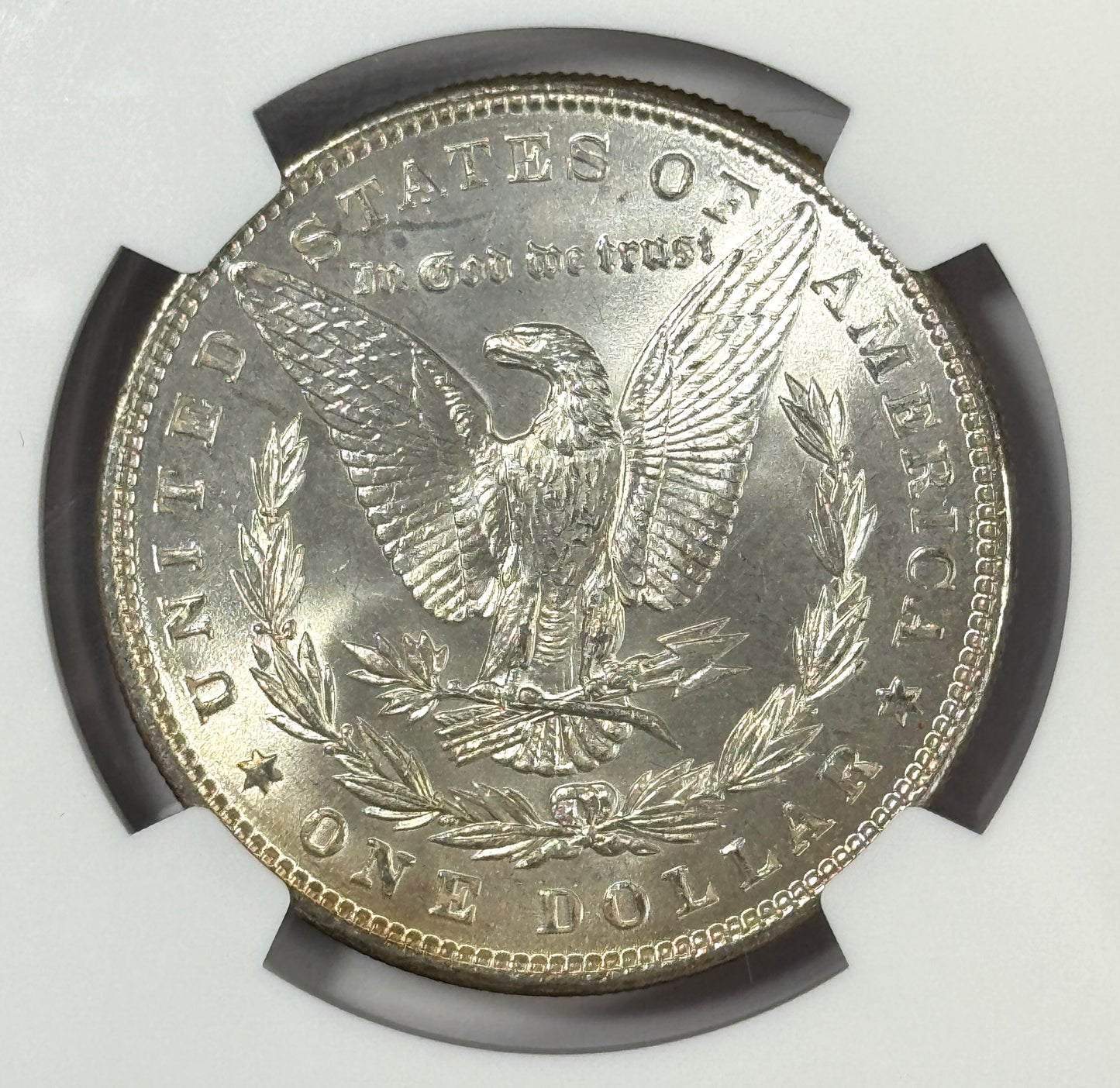 1886-P Morgan Silver Dollar NGC MS66 - Subtle Rainbow Toned - Lustrous Reverse