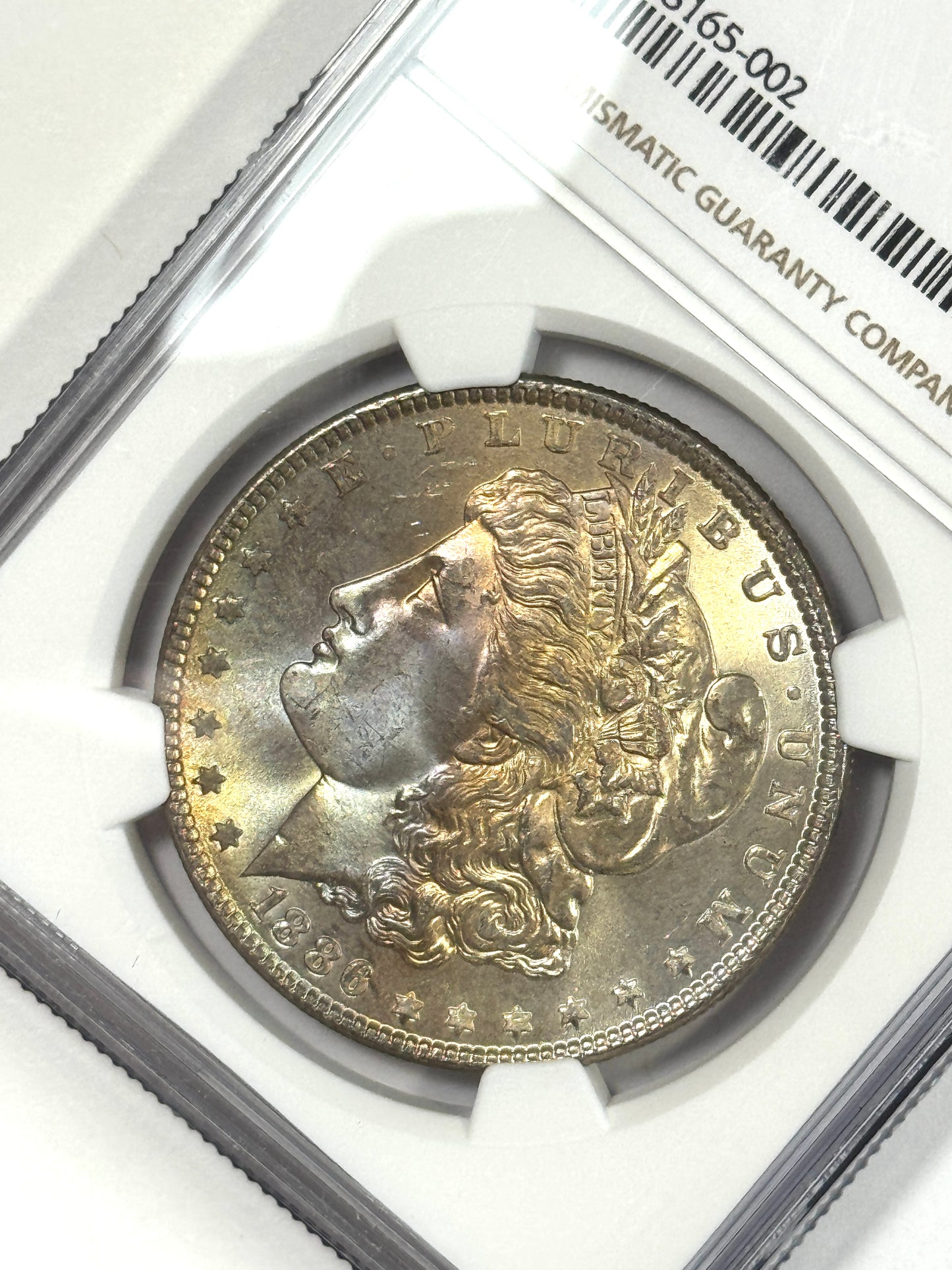 1886-P Morgan Silver Dollar NGC MS66 - Subtle Rainbow Toned - Lustrous Reverse