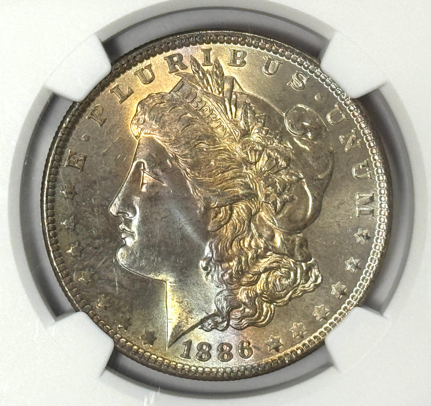 1886-P Morgan Silver Dollar NGC MS66 - Subtle Rainbow Toned - Lustrous Reverse