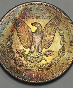 1885-morgan-silver-dollar-value | discover-their-worth-(2)