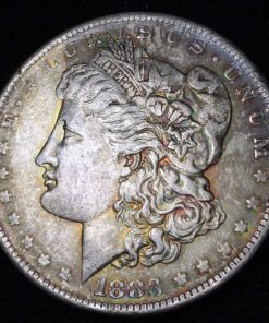 1883-morgan-silver-dollar-value | discover-their-worth